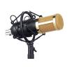 Professional Condenser Microphone,Crystal Clear Sound-3444-01