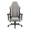 Gaming Chair With Headrest And Lumbar Pillow-28457-01