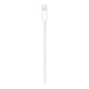 Apple 2 Meter Lightning To USB A Charging Cable, MD819-31541-01