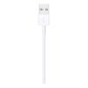 Apple 2 Meter Lightning To USB A Charging Cable, MD819-31542-01