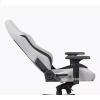 Gaming Chair With Headrest And Lumbar Pillow-28456-01