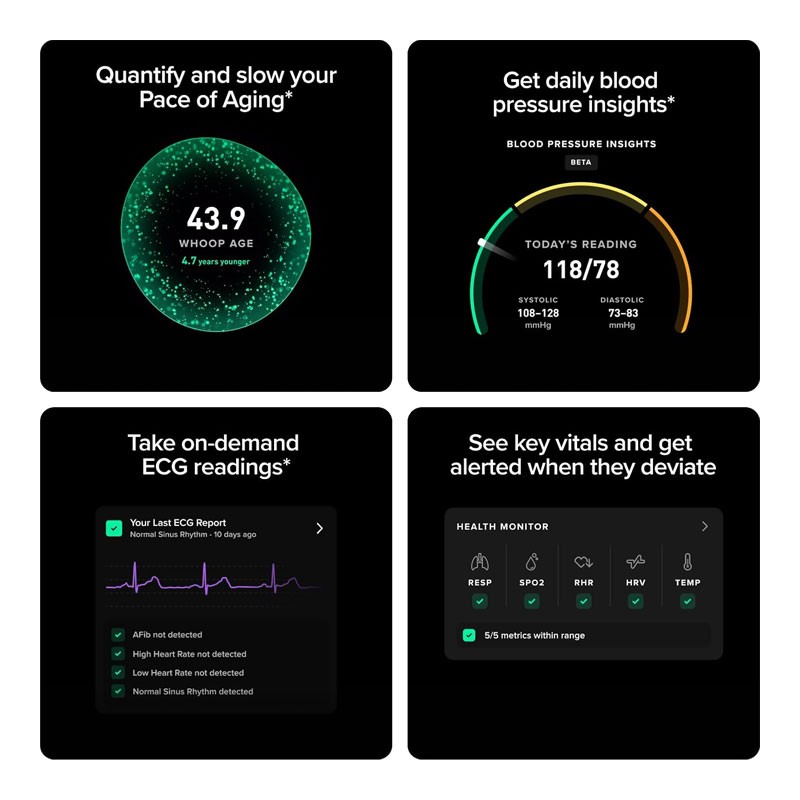 Whoop Life, 12 Month Membership, MG Device, Blood Pressure Insights, Activity Tracking, ECG Software, 14 Plus Days Battery Life, Health And Fitness Tracker -35270