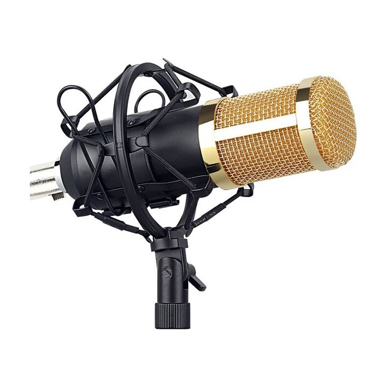 Professional Condenser Microphone,Crystal Clear Sound-3444