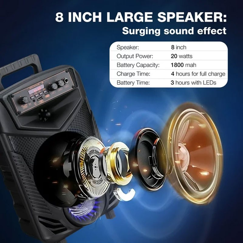 NDR P44 Karaoke Machine Speaker with Microphones and Remote,Portable Bluetooth  LED Karaoke Speaker -3480
