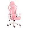 Game Chair With Headrest And Lumbar Pillow01