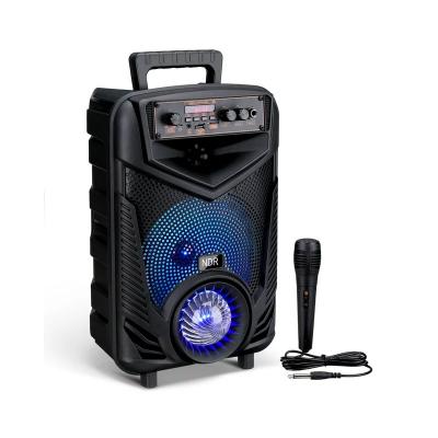 NDR P44 Karaoke Machine Speaker with Microphones and Remote,Portable Bluetooth  LED Karaoke Speaker 